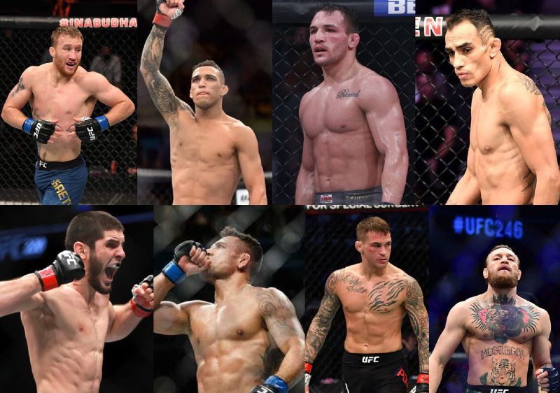 -ufc-lightweight-division-apostas